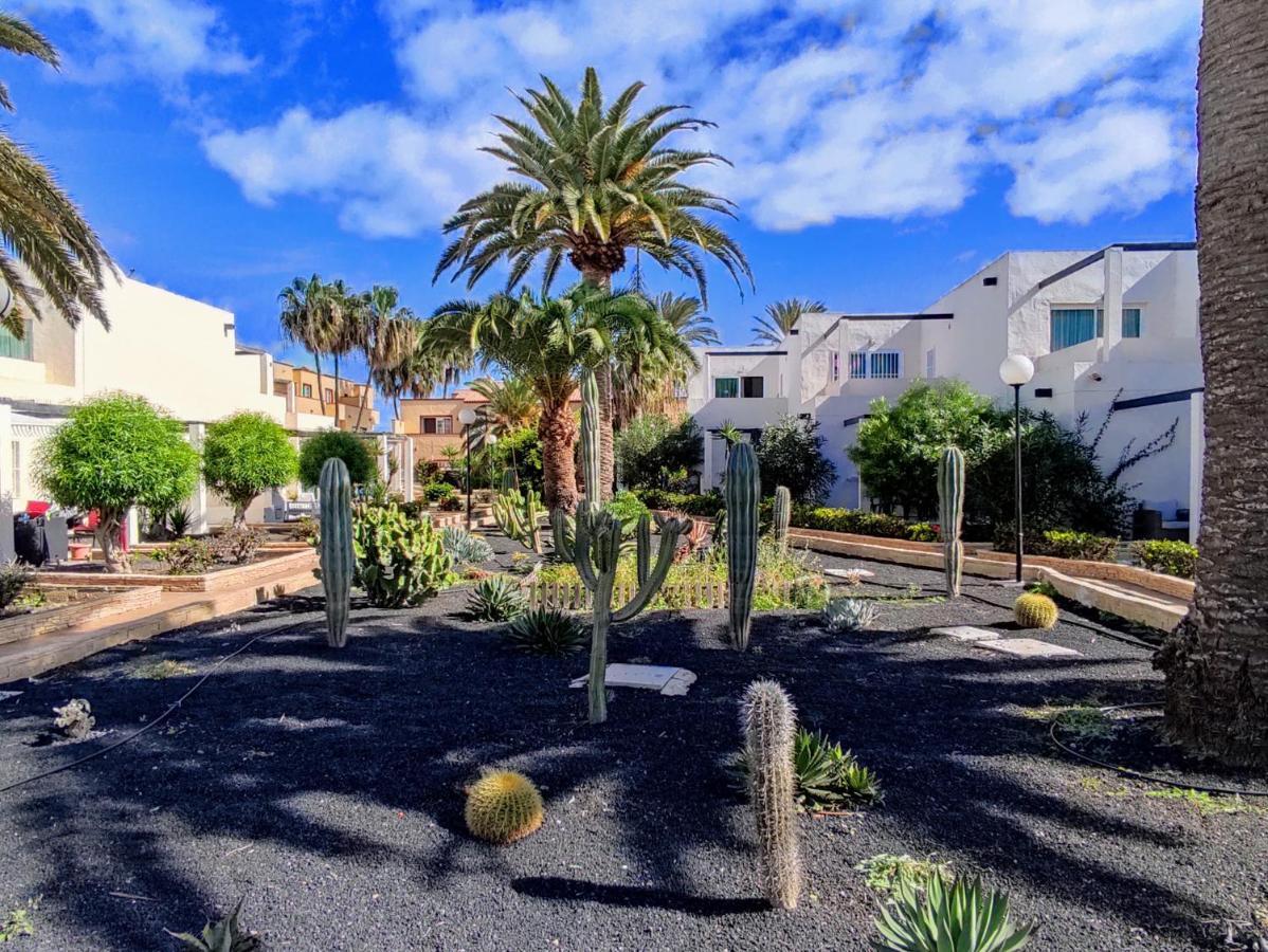 Red Hibiscus Corralejo Irent Fuerteventura Leilighet Eksteriør bilde